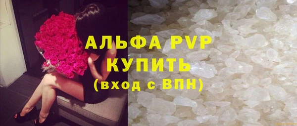 apvp Белокуриха