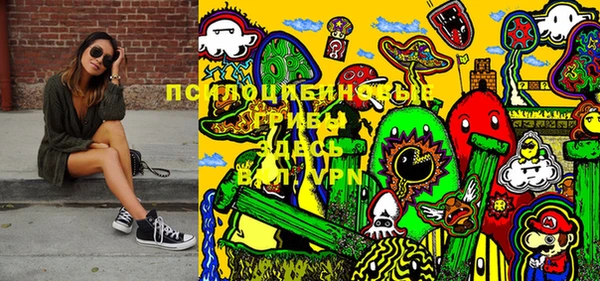 apvp Белокуриха
