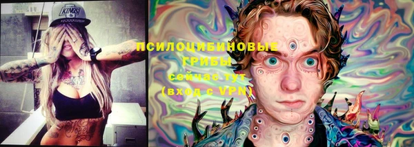 стаф Белоозёрский