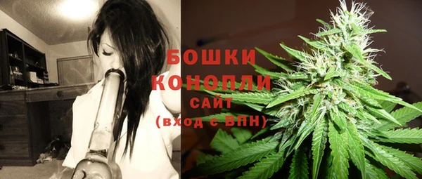 стаф Белоозёрский