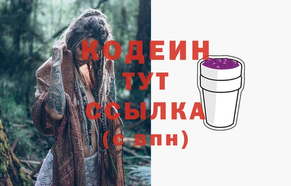 apvp Белокуриха