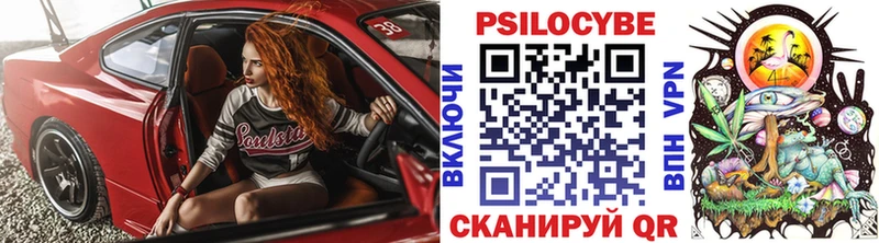 Псилоцибиновые грибы Psilocybe  Краснослободск 
