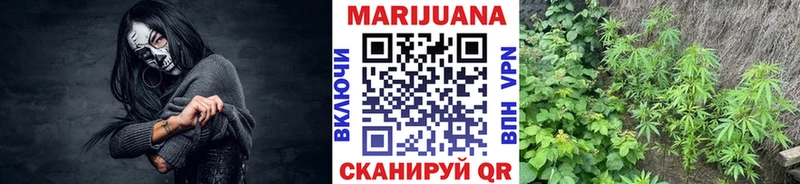 Шишки марихуана конопля Краснослободск